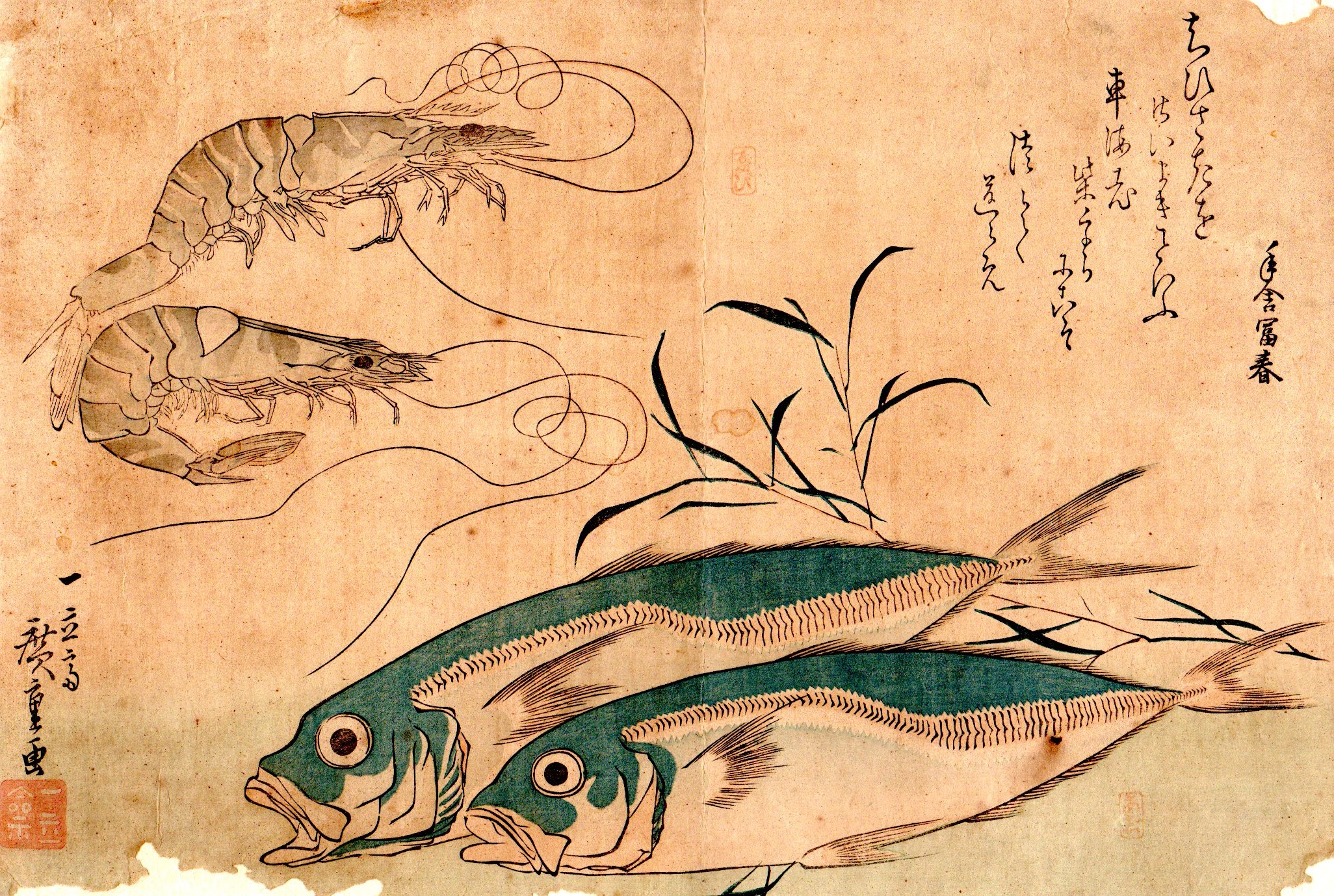 木版画彩色刷 魚: 日本国際古地図学会